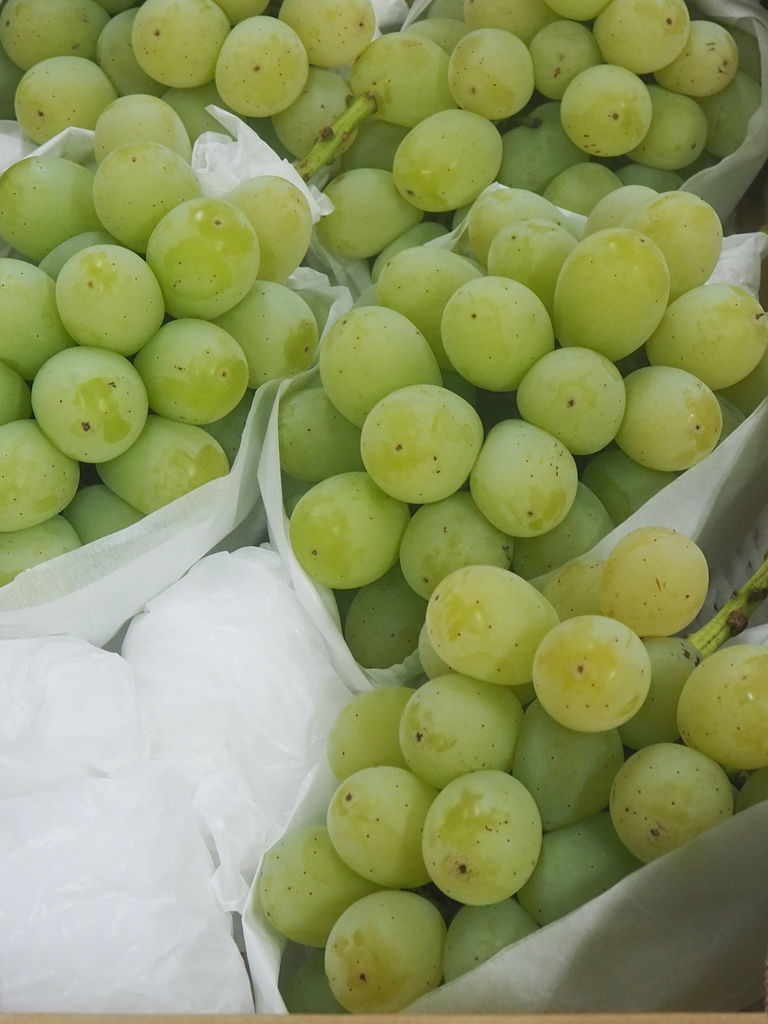 雄宝から翠峰へ 信州産白ぶどう 翠峰 好評販売中 Asamana Manager S Blog
