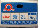P1011915