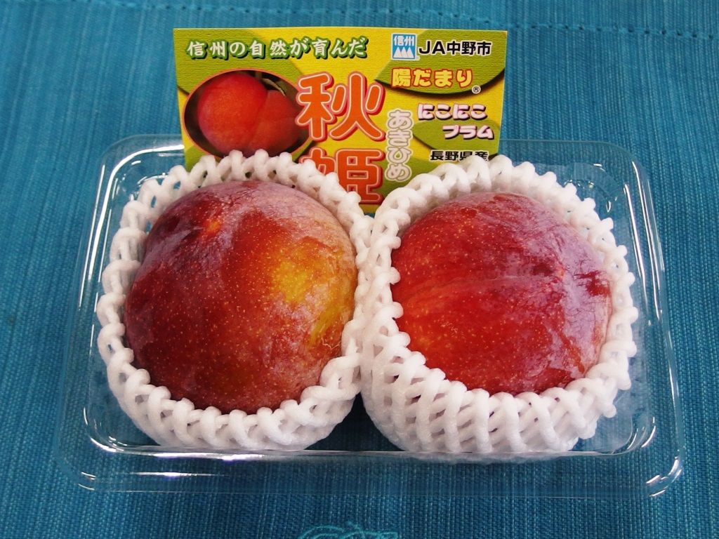プラムのアンカー 信州産 秋姫 好評販売中 Asamana Manager S Blog プラムのアンカー 信州産 秋姫 好評販売中 Asamana Manager S Blog