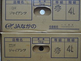 P1019204