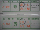 P1011387