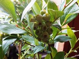P1012391