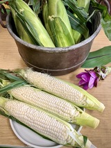 白い恵味　2026
