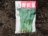 P1010950