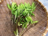 P1012373