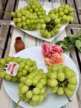 フルーツハリウッド シャインマスカット