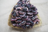 P1014920