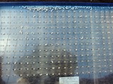 P1011926