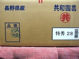 P1010705