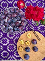 サンタス＆ツアー　2025