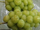 P1011230