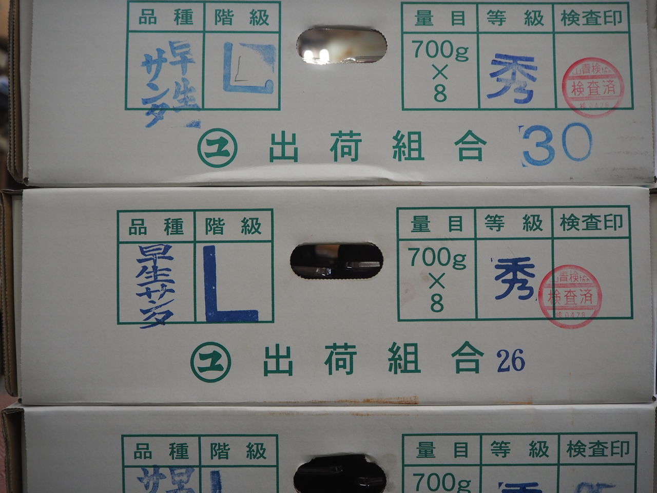 すもも第二弾 山梨県産 サンタローザ 好評販売中 Asamana Manager S Blog すもも第二弾 山梨県産 サンタローザ 好評販売中 Asamana Manager S Blog