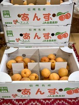 あんず　平和
