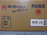 P1010667