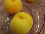 P1017790