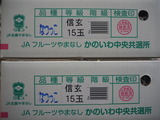 P1011701