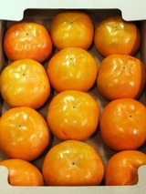 P1011325