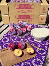 すもも　太陽　2025