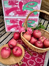 高山さわやか　サンふじ　2025