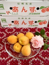 信月