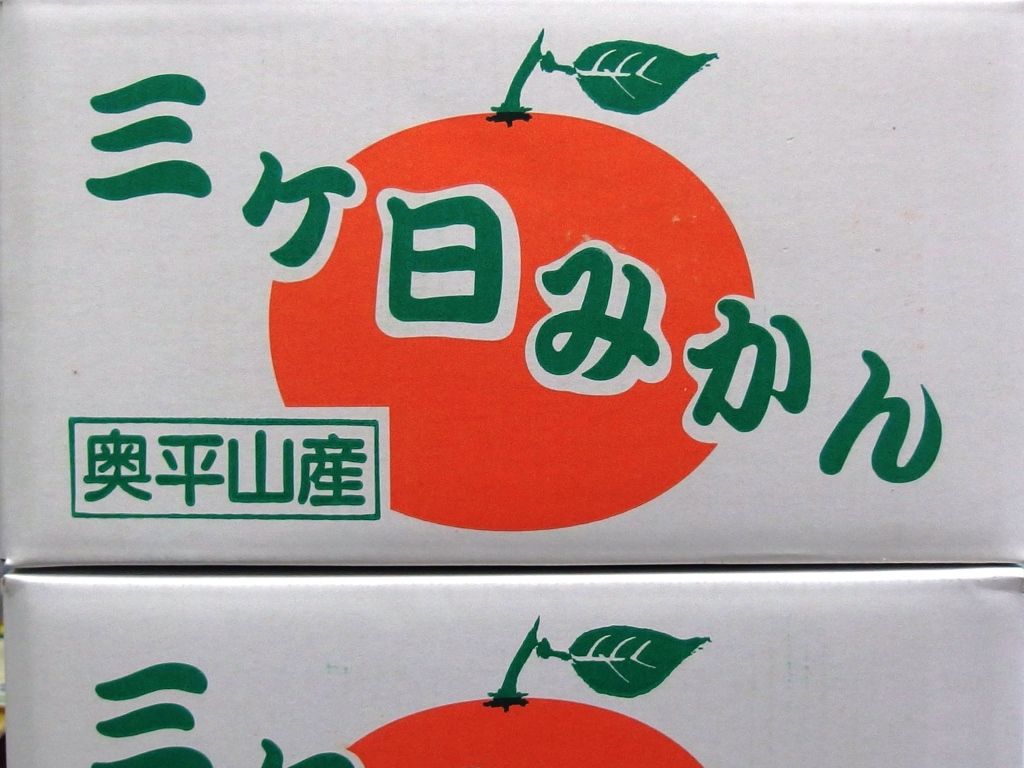 天与の味覚 三ヶ日奥平山みかん 青島 好評販売中 Asamana Manager S Blog
