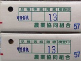 P1010719