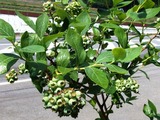 P1012402