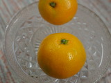P1010287