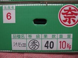 P1010407