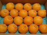 P1300451