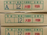 P1011540