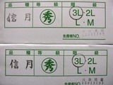 P1010066