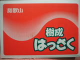 P1010299