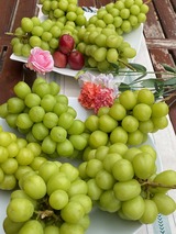 IMG_6056