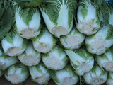P1014466