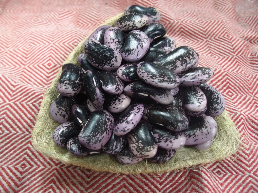 豆に食べよう 新豆特集 花豆 黒大豆 青大豆 鞍掛豆 Etc Asamana Manager S Blog 豆に食べよう 新豆特集 花豆 黒大豆 青大豆 鞍掛豆 Etc Asamana Manager S Blog