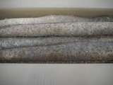 P1014756