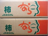 P1010114