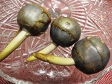 P1010193
