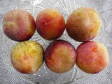 P1010346