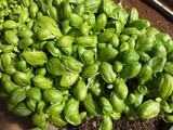 P1012331