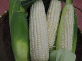 P1017707