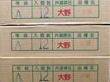 P1011322