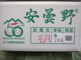 P1010635