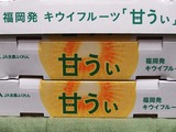 P1011752