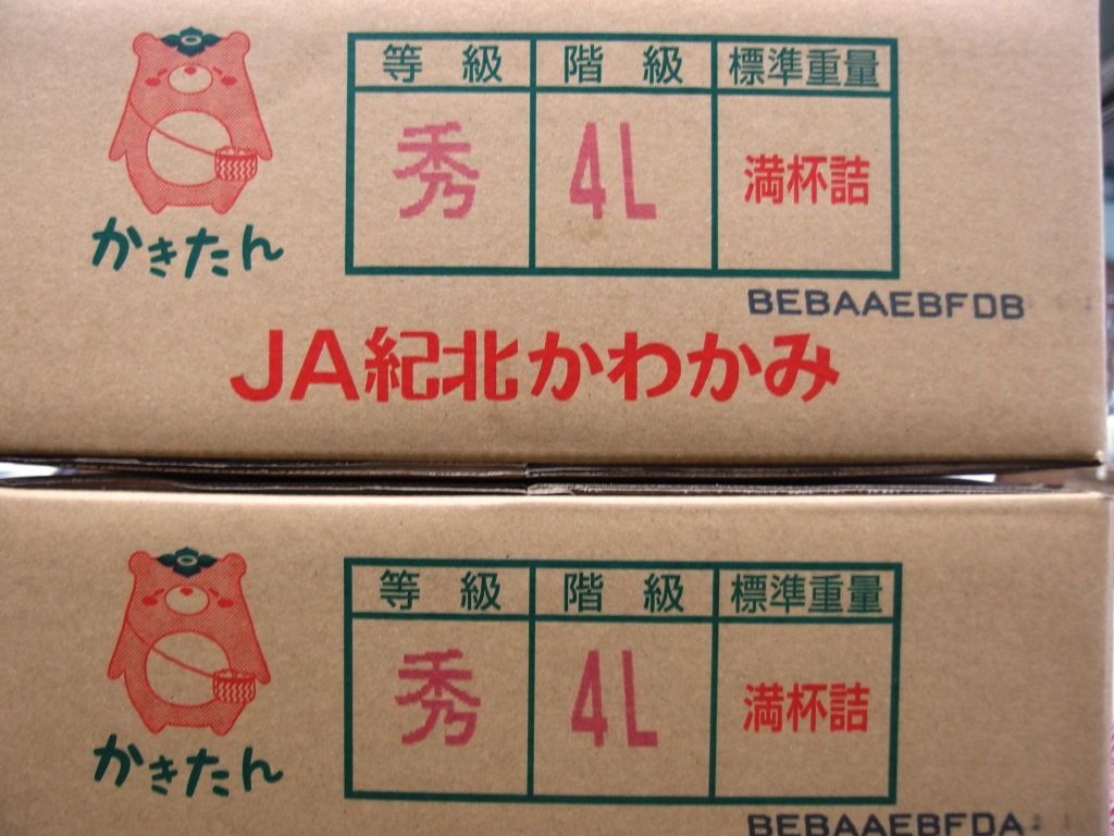 柿の王国 和歌山よりｂｉｇな 刀根早生 たねなし柿 販売中 Asamana Manager S Blog