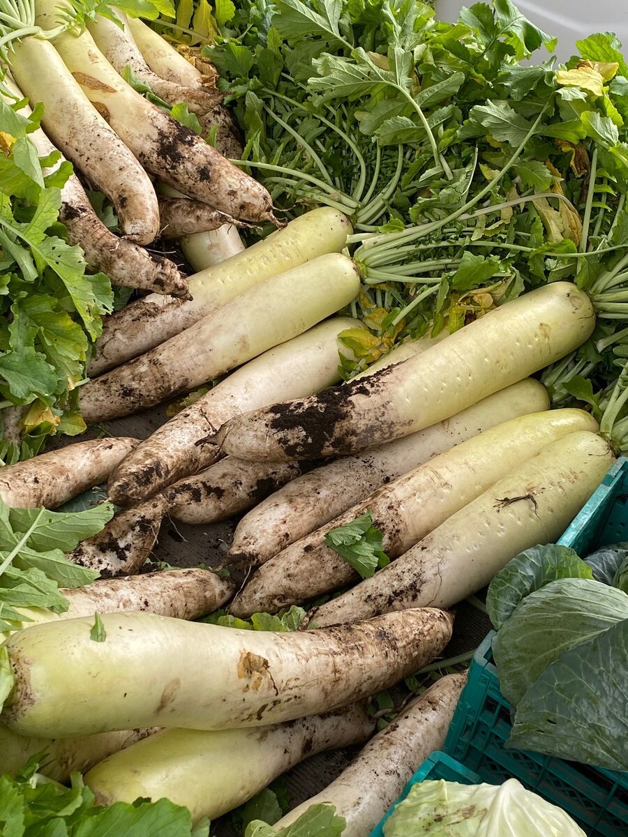 Asamana名物野菜大根 土葉付き大根 好評販売中 Asamana Manager S Blog Asamana名物野菜大根 土葉付き大根 好評販売中 Asamana Manager S Blog
