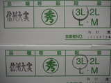 P1011420