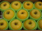 P1010221