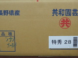 P1013819
